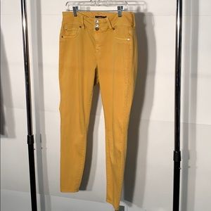 Torrid jeans mustered color.
